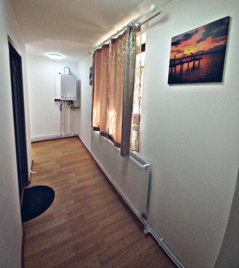 Camere In Regim Hotelier 브라쇼브 외부 사진